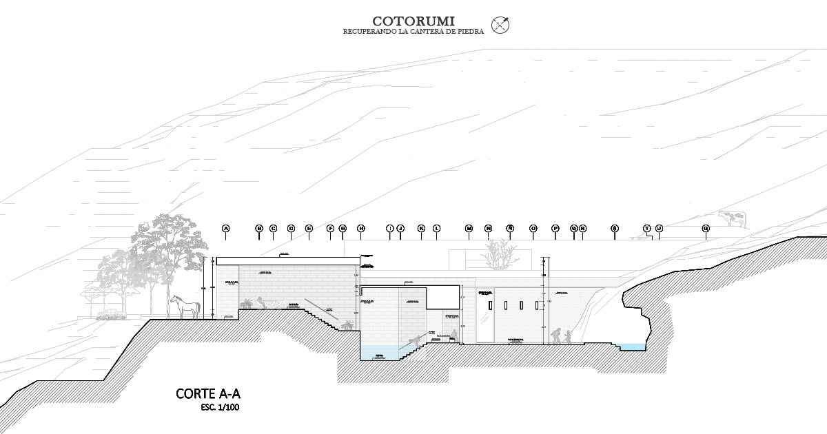 img-proyecto Cotorumi