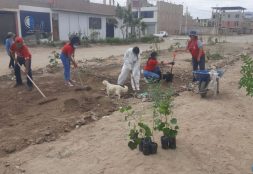 Voluntariado VOCCS-USAT participa en jornada de limpieza y arborización en Ciudad del Chofer